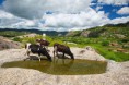 /album/certao-cearence/a84072113-juaqbtbf-serradopadrequixad-1928-jpg/