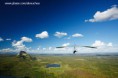 /album/certao-cearence/a84072122-vowkfbkm-vodeasadeltaemquixad-3670-jpg/